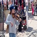عکس موسیقی دسپاسیتو رو با اجرای ویولن شنیدی؟ | داور ملودی