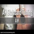 عکس A Standard Guitar Tuner -ADGCFA-