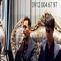 عکس تار نوازی مجلس ترحیم با خواننده سنتی مداح ۰۹۱۲۰۰۴،۶۷۹۷ مداحی عرفانی ختم