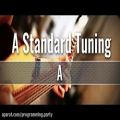 عکس گیتار A Standard Guitar Tuner -ADGCEA-