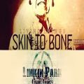 عکس Linkin park - Skin to bone