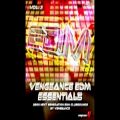 عکس دموی مجموعه سمپل و لوپ آهنگسازی Vengeance EDM Essentials Vol.3