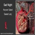 عکس Keyvan Saket Saeed Lary - Sad Night | کیوان ساکت و سعید لاری - شب غمگین