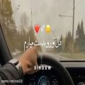 عکس کلیپ عاشقانه شاد و زیبا برای استوری واتساپ و اینستا _ بگو میمونی کنارم