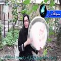 عکس موسیقی سنتی -تکنوازی دف با ریتم آهنگ گل پون ها بسطامی - دف نوازی اصیل ایرانی