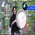 عکس موسیقی سنتی -تکنوازی دف با ریتم آهنگ یاران چه غریبانه - دف نوازی اصیل ایرانی