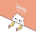 عکس اهنگ senorita توسط گربه ی ناز ( دیگه استاپ موشن نمیسازم )