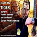 عکس آهنگ چشم ببر Eye of the tiger از گروه Survivor فیلم راکی3 با اجرای امین فرامرزی
