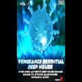 عکس مجموعه لوپ Vengeance Essential Deep House