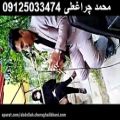 عکس مداح بهشت زهرا به همراه اکو