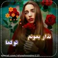 عکس عاشقانه ۱۸۴