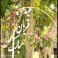 عکس ترانه یا علی با صدای آقای فرهاد قائدی - شیراز