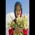 عکس دختر ناز آهنگ محلی شیرازی آهنگساز بابک پیرمرادی.