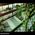 عکس نماهنگ ایرانی| محسن چاووشی بیقرار |موزیک ویدیوی « بی قرار » Full HD