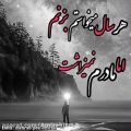 عکس مهـــراب - هفته هاست که رفتـــی ....