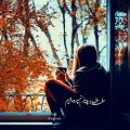 عکس سرا پا اگر زرد و پژمرده ایم ولی دل به پاییز نسپرده ایم...