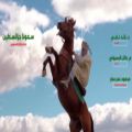 عکس ویدئو موزیک « سمونا جزائسطين » با صدای « محمد وائل البسيوني » (کلیپ رحمان)