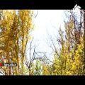 عکس ترانه نگارا با صدای استاد سالار عقیلی وتصاویر پاییز هزار رنگ قلات - شیراز