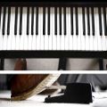 عکس نحوه پدال گیری در پیانو | گالری پیانو نوا