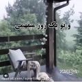 عکس دل نوشته غمگین احساسی تو یه روز میفهمی