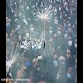 عکس «من کجا باران کجا» با صدای همایون شجریان و به یاد استاد محمدرضا شجریان