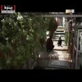 عکس آوای ایرانی - سلام بر 175 غواص شهید