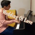 عکس اجرای آهنگ زیبای عروسی عشق(Wedding Of Love)توسط مهیاریوسفی