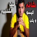 عکس آهنگ زیبای شانه(گیسو) از ویگن و پوران تنظیم و اجرای گیتار محمدلامعی