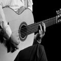 عکس گیتار فلامنکو Spanish Guitar Flamenco Malaguena