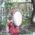 عکس موسیقی سنتی -تکنوازی دف با ریتم آهنگ دل همایون شجریان - دف نوازی اصیل ایرانی