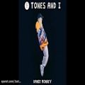 عکس Tones and I Dance monkey karaoke