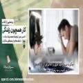 عکس رونمایی از کتاب پربار « کار همچون زندگی»