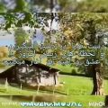 عکس تقدیم دوستان خوبم ممنونم که