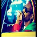 عکس Snoop Dogg - Smoke Weed Everyday