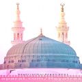 عکس استوری زیبامدح پیامبر حضرت محمد .ص.صابرخراسانی