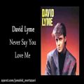 عکس David Lyme - Never Say You Love Me