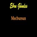 عکس Ebru Gündeş - Mecbursun متن و زیرنویس فارسی