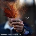 عکس موسیقی جدید محسن چاووشی - خداحافظی تلخ