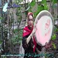 عکس موسیقی سنتی - تکنوازی دف با ریتم آهنگ مست و دیوانه - دف نوازی اصیل ایرانی