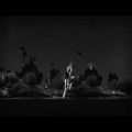 عکس (Woodkid - Run Boy Run (Official HD Video