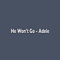 عکس Adele - He Wont Go متن و زیرنویس فارسی