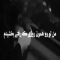 عکس دکلمه غم - - یادمــه که بخشیـــدمش . . .