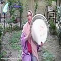 عکس موسیقی سنتی - تکنوازی دف با ریتم آهنگ عشقم بانی - دف نوازی اصیل ایرانی