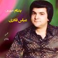 عکس اجرای اول ترانه ی ( بدنام ) از عباس قادری