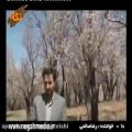 عکس موسیقی بختیاری دا رضا صالحی