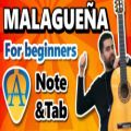 عکس آموزش آهنگ Malagueña مالاگوئنیا - گیتار فلامنکو : امین فرامرزی