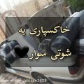 عکس خاکسپاری شوتی سوار در ایران