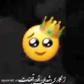 عکس امیر تتلو