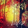 عکس پاییز....