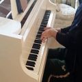 عکس ♫کاور پیانو در خصوص هابیتها|موسیقی:هاوارد شور